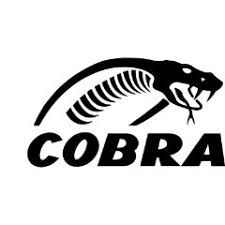 Cobra Electronics Discount Codes