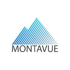 Montavue Coupon Codes