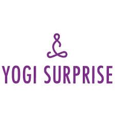 Yogi Surprise Discount Codes