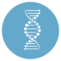 Ancient DNA Origins Coupon Codes