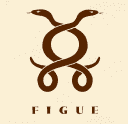 Figue Coupon Codes
