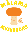 Malama Mushrooms Coupon Codes