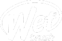 Wet Brush Coupon Codes